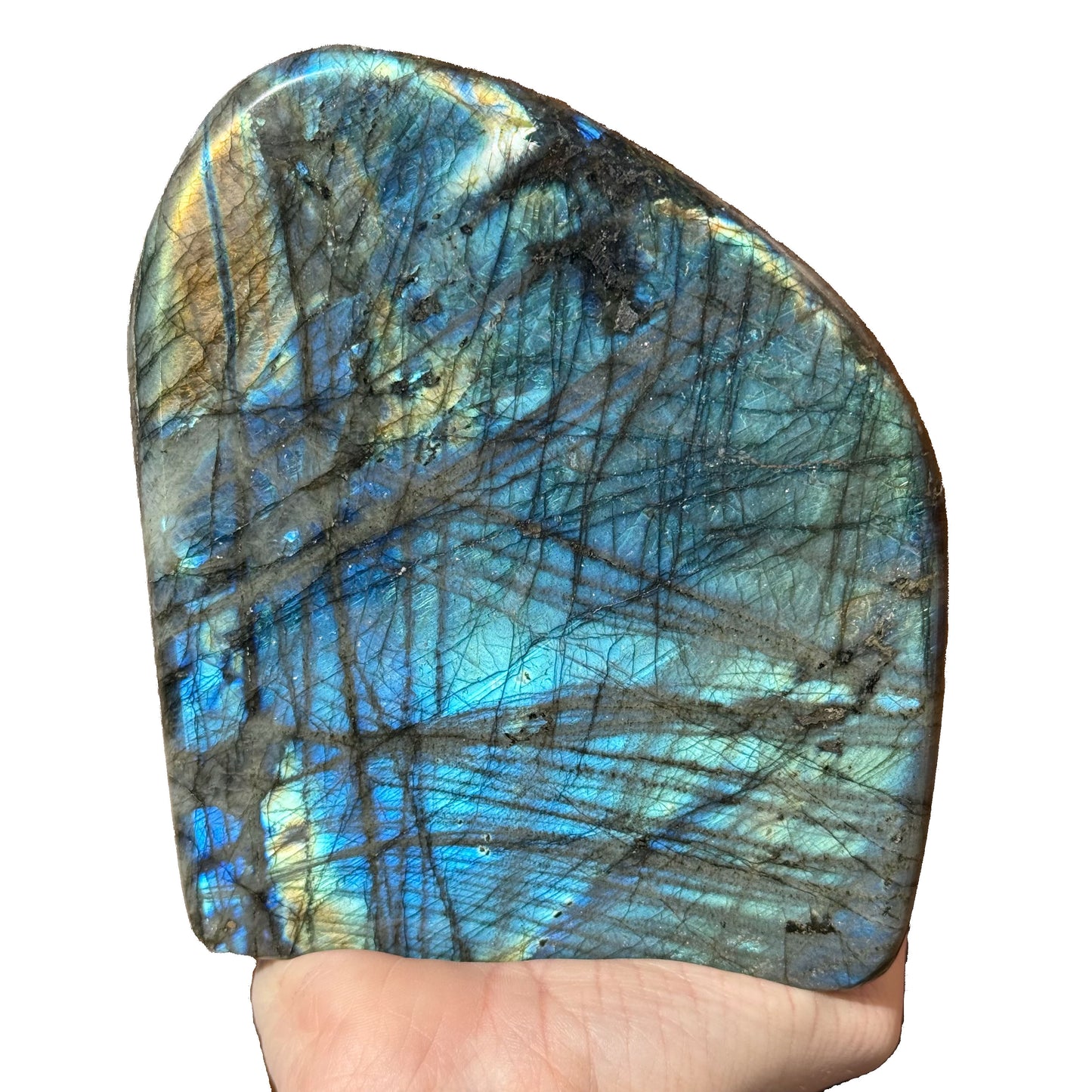 Blue Labradorite Free Forms