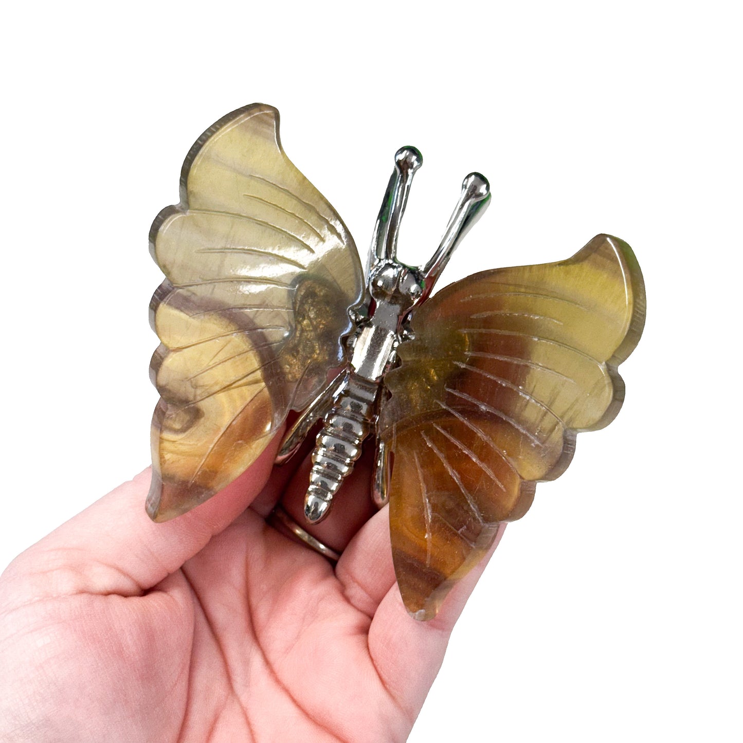 Banded Fluorite Butterfly's
