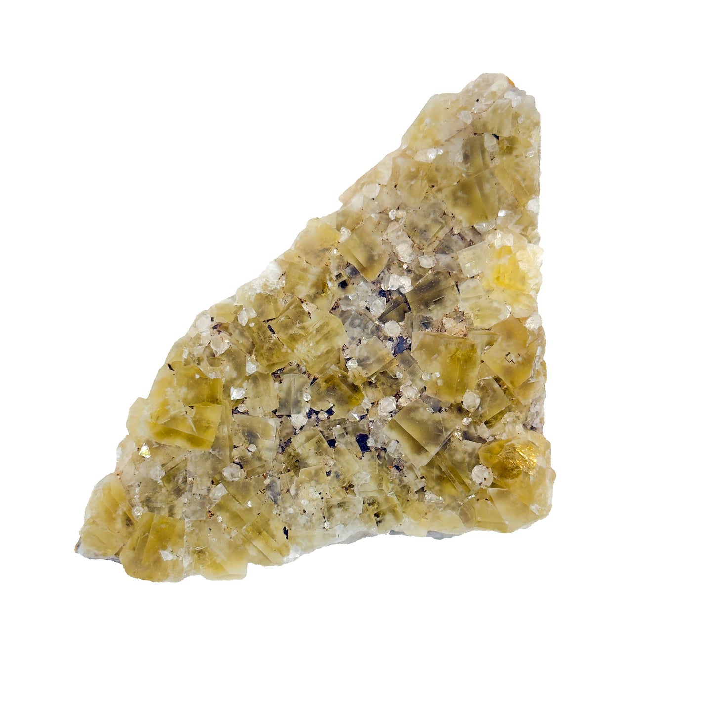 Lemon Meringue #1