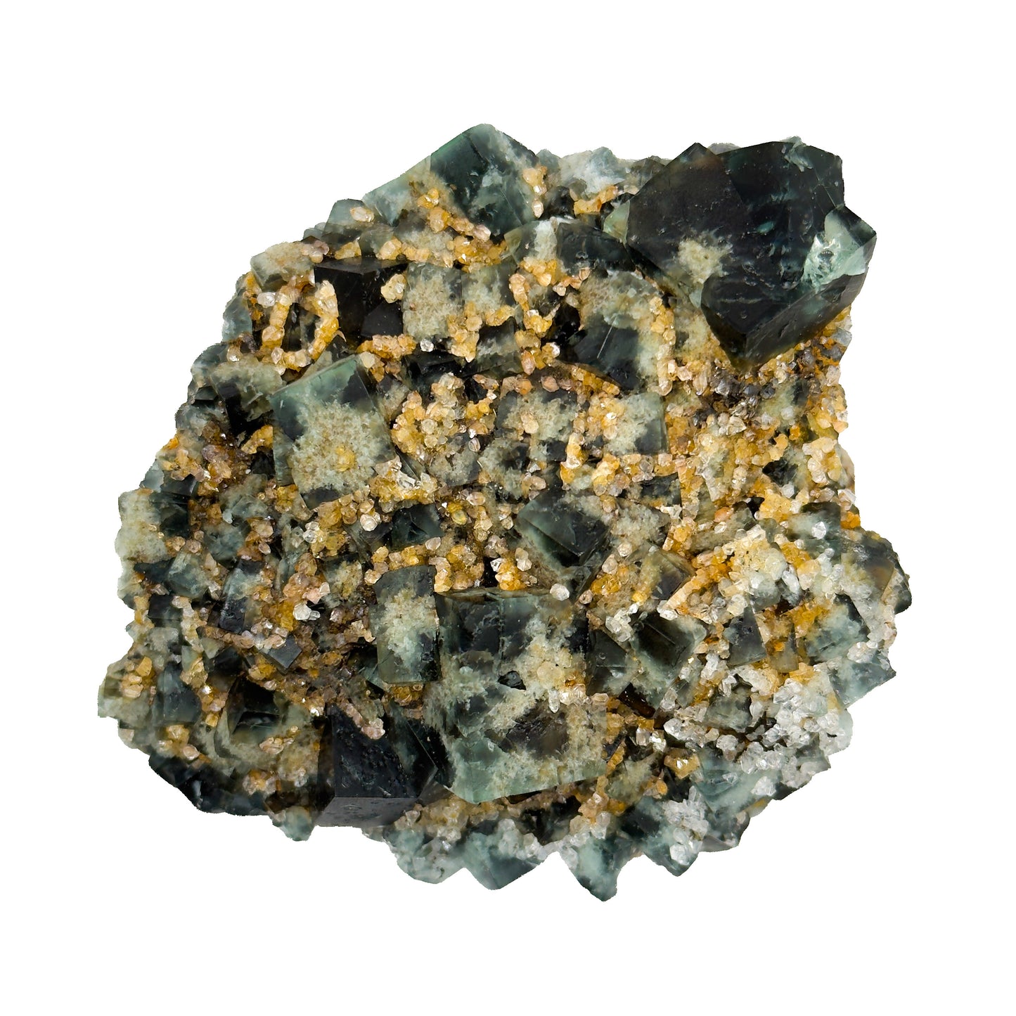 Supernova #5