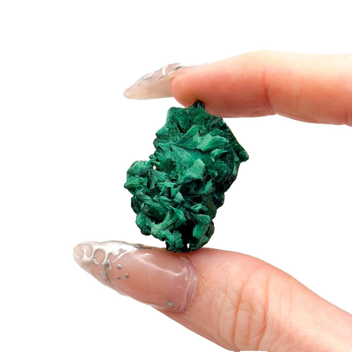 Velvet Malachite