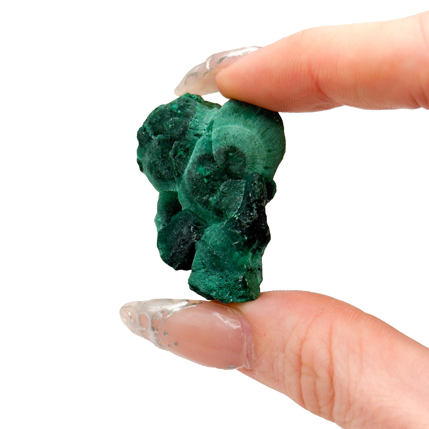Velvet Malachite