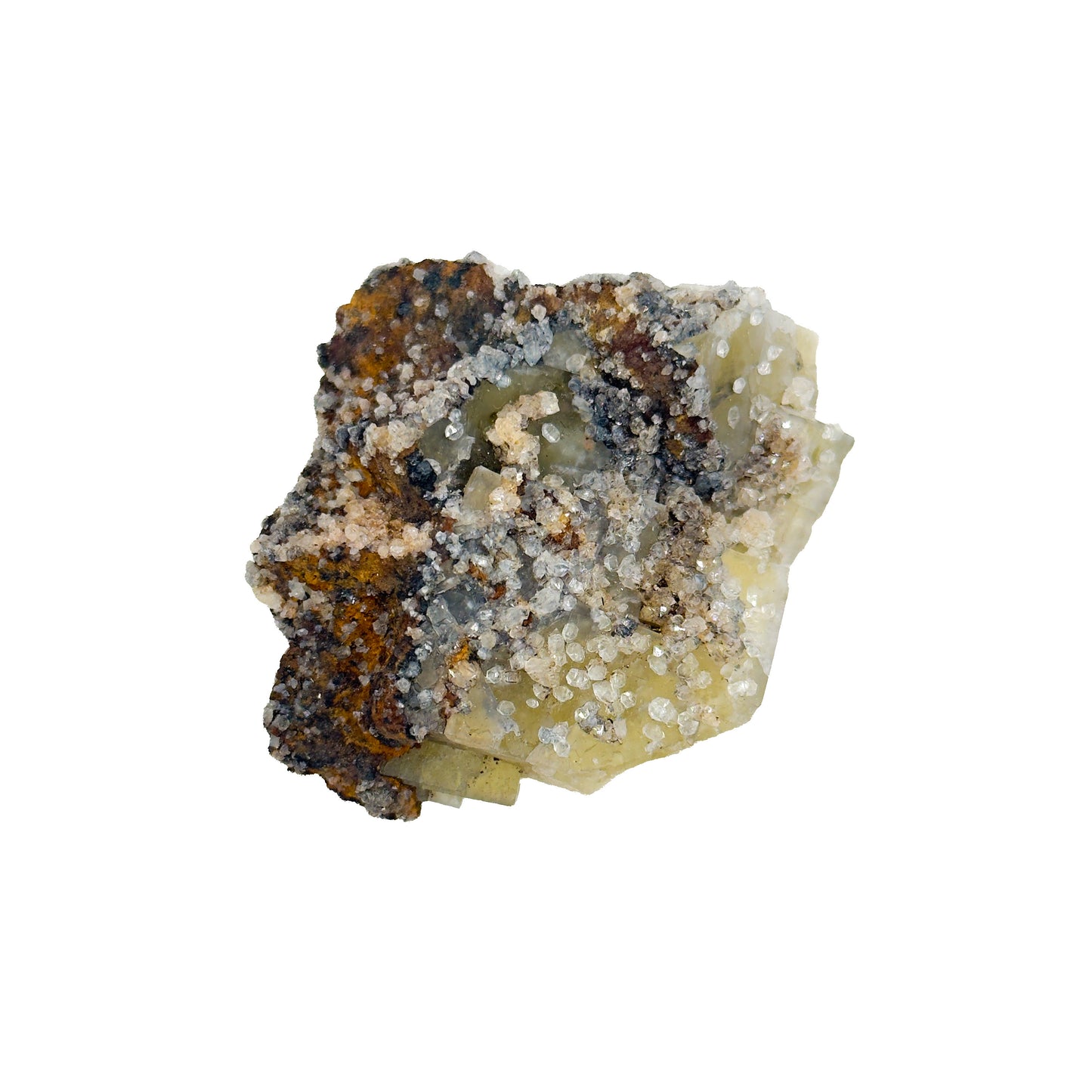 Lemon Meringue #3