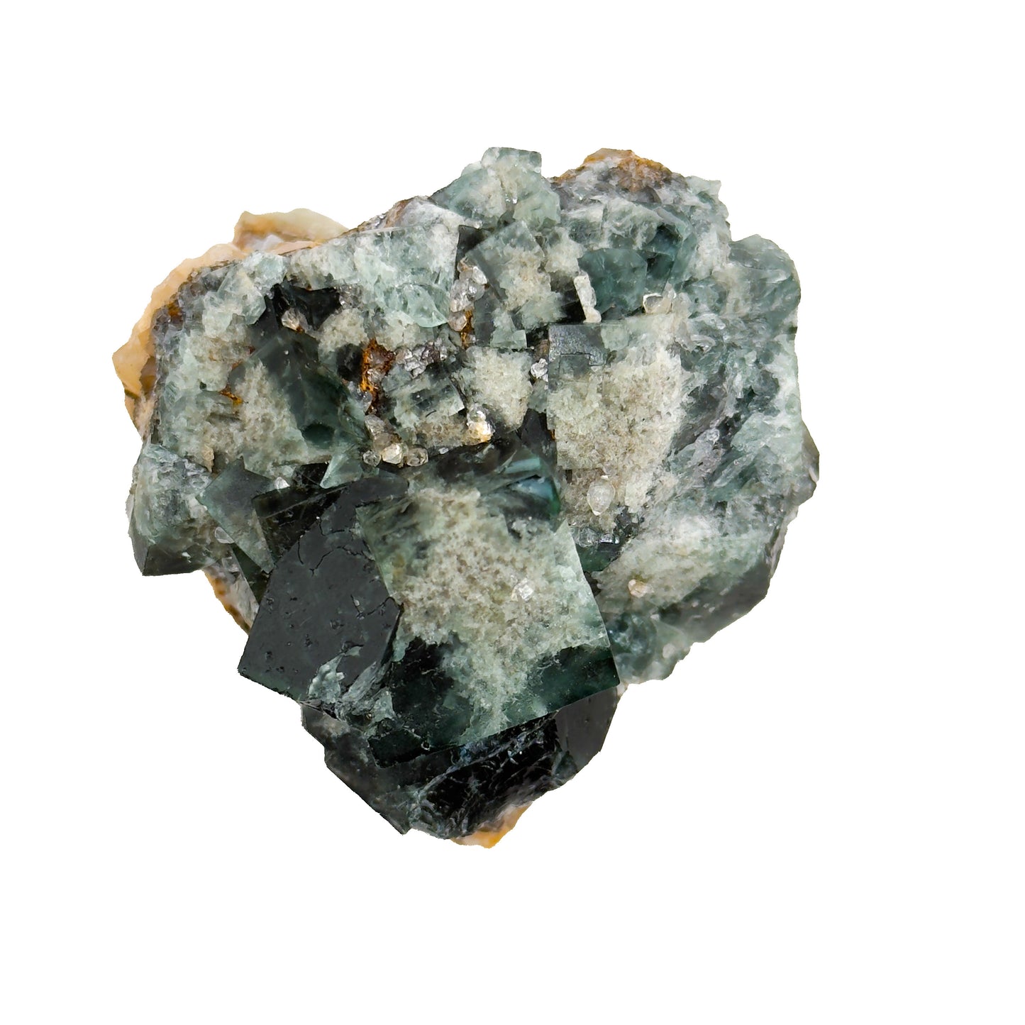 Supernova #8