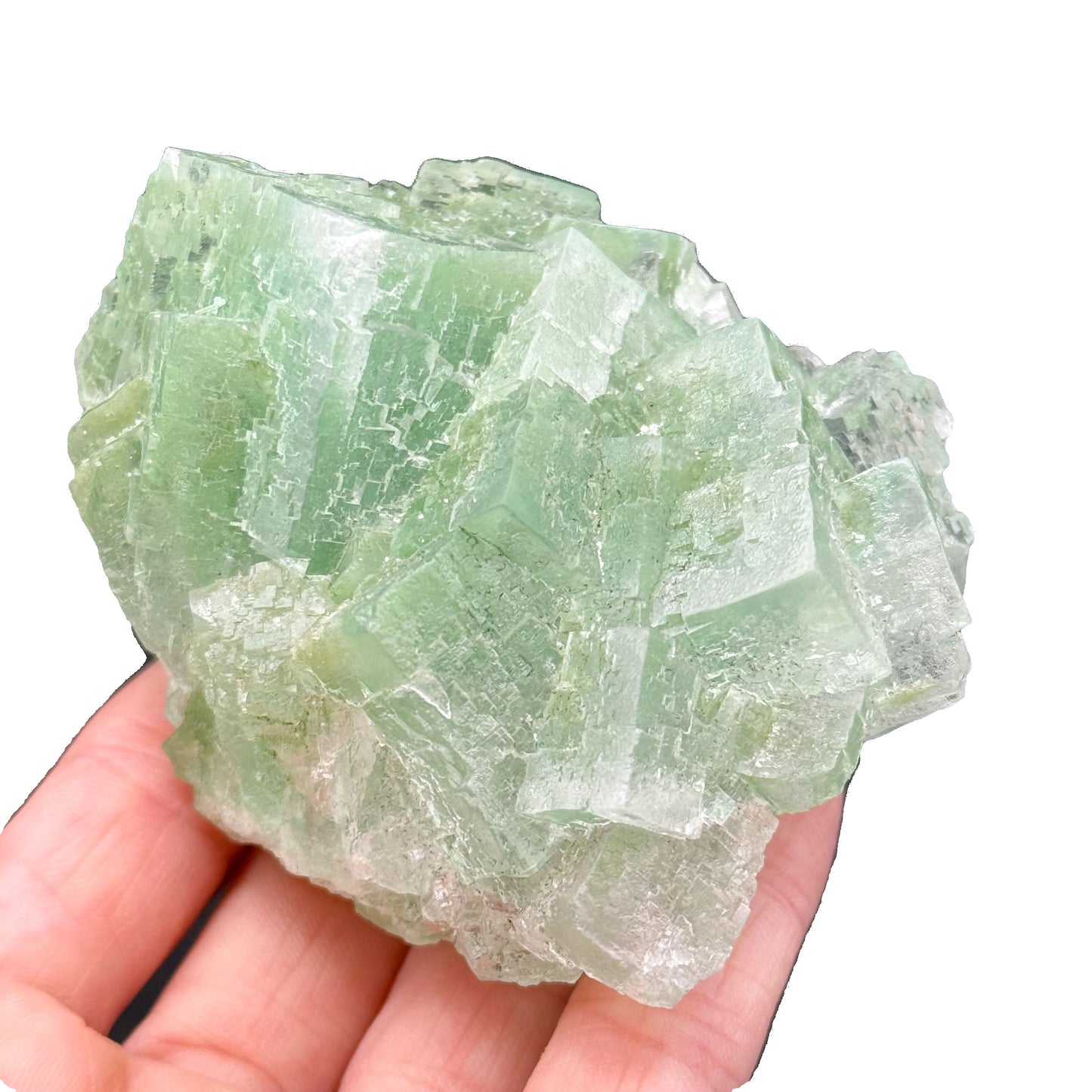 Green Halite