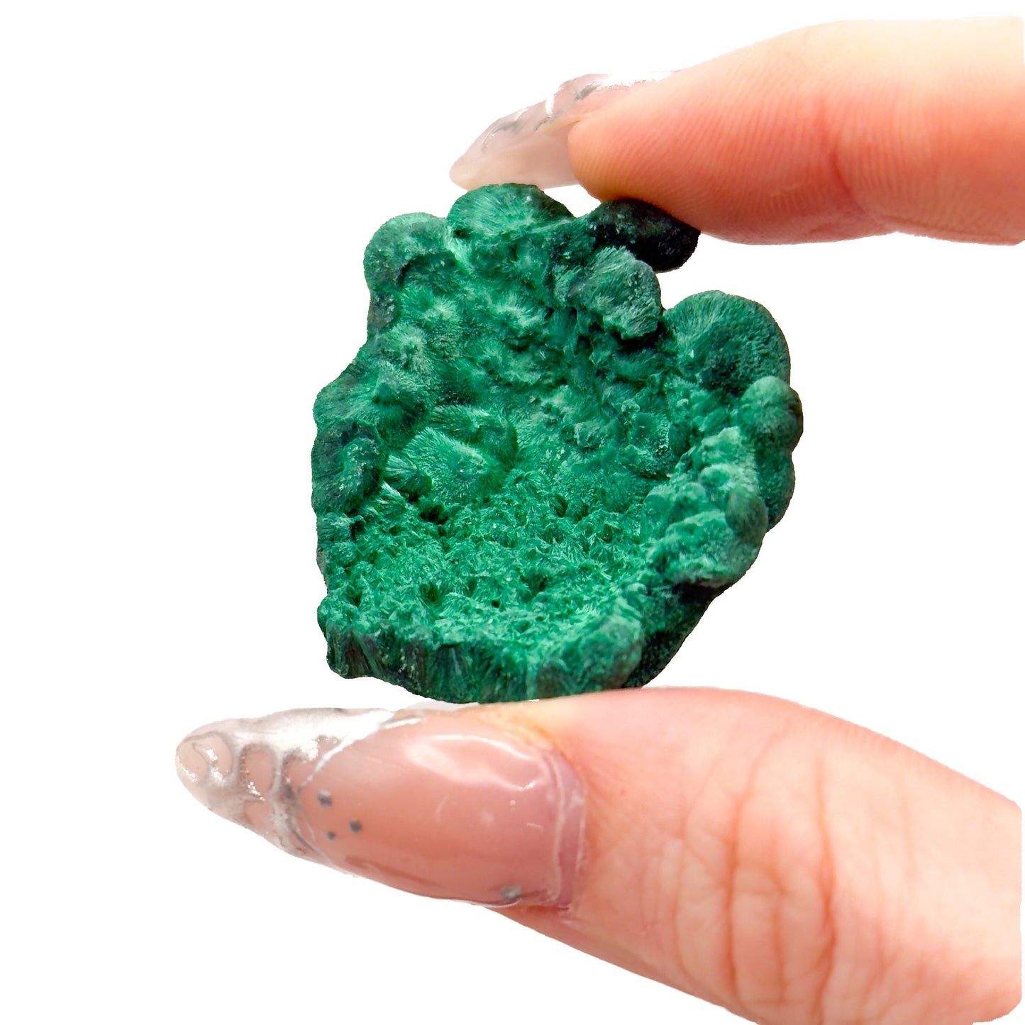 Velvet Malachite