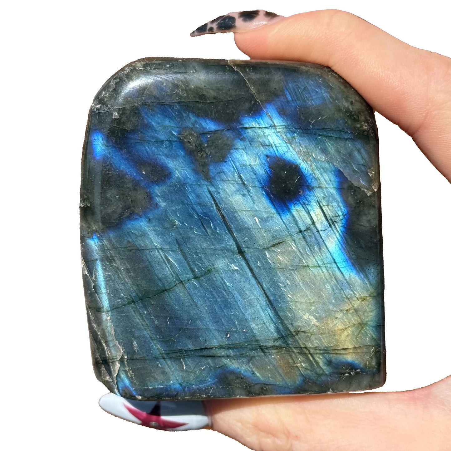 Blue Labradorite Free Forms