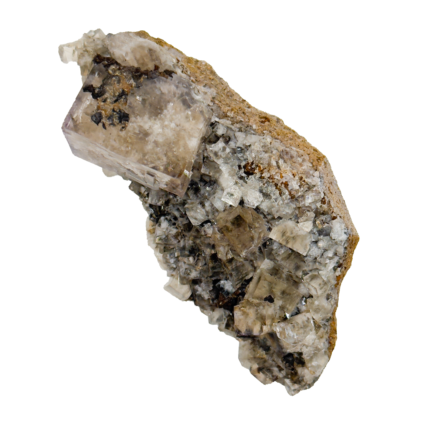 Bull Vein #3