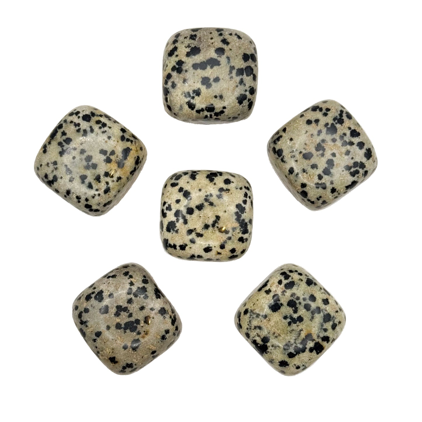 Dalmatian Jasper Tumbles