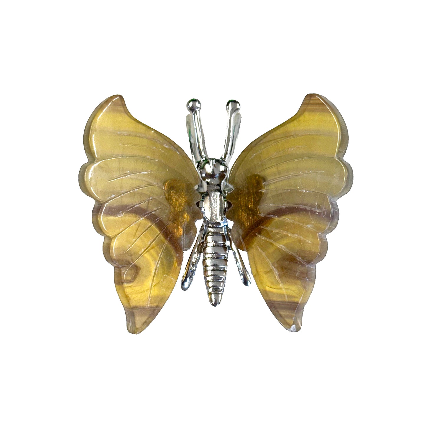 Banded Fluorite Butterfly's