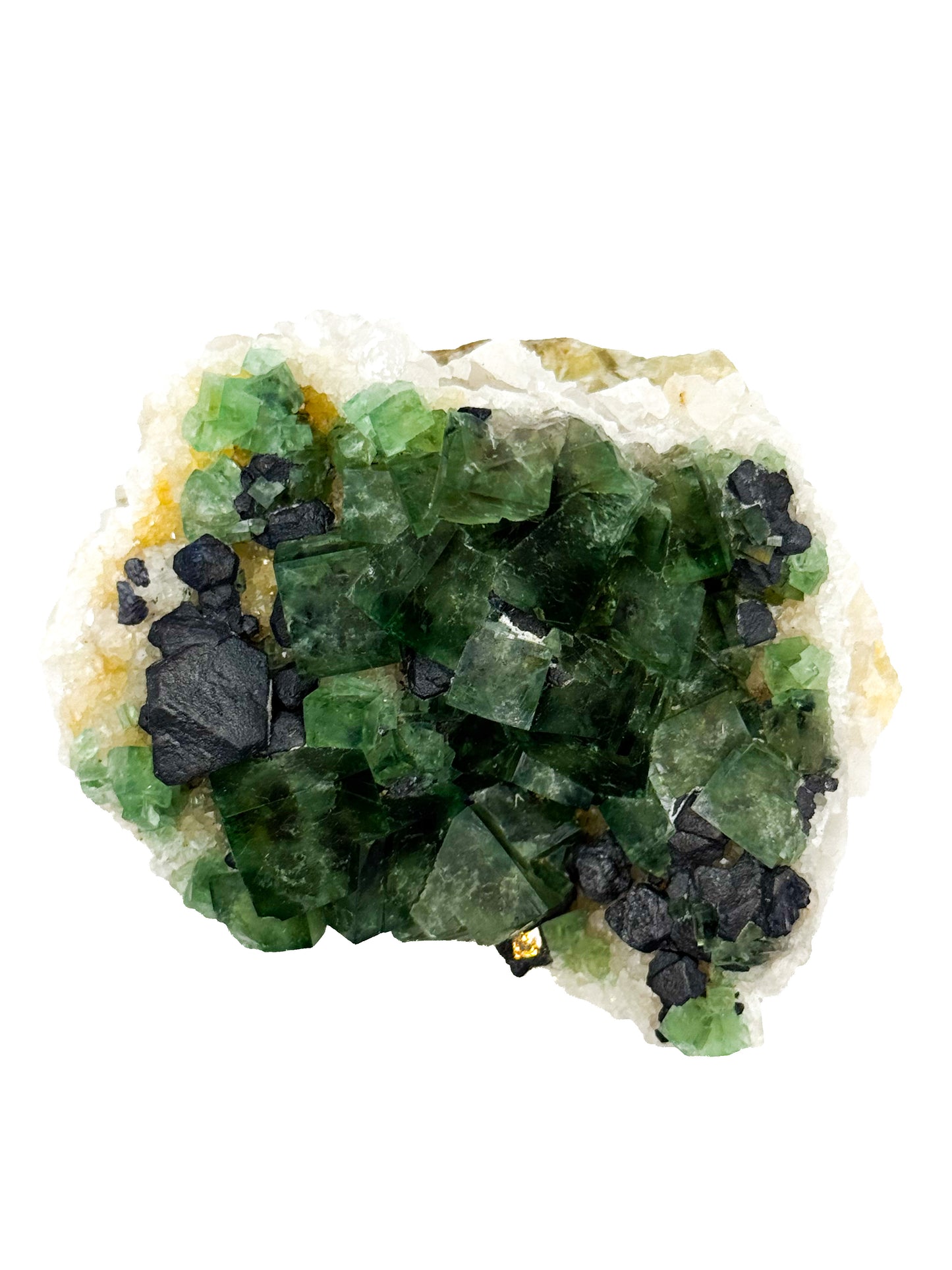 Northern Lights #1