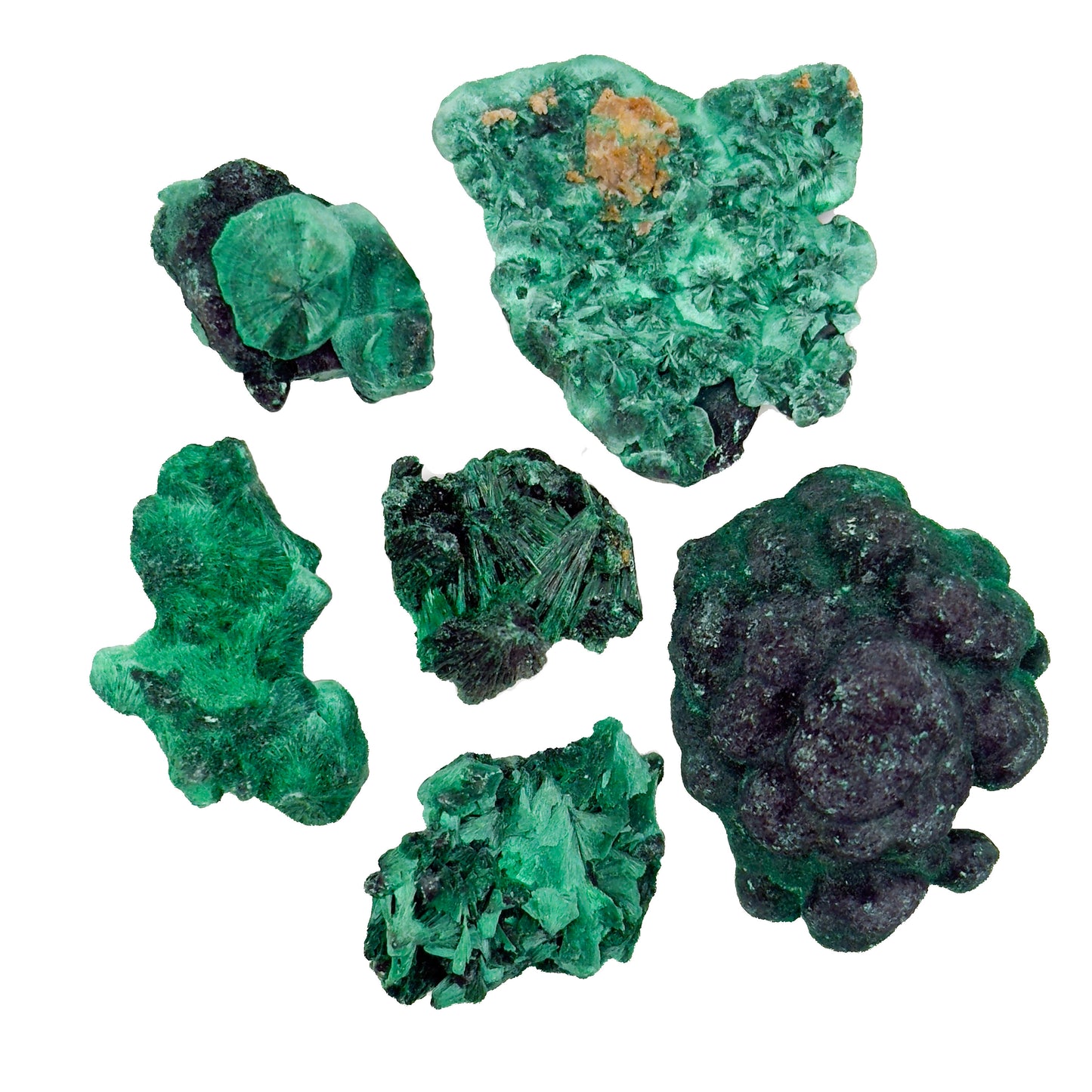 Velvet Malachite