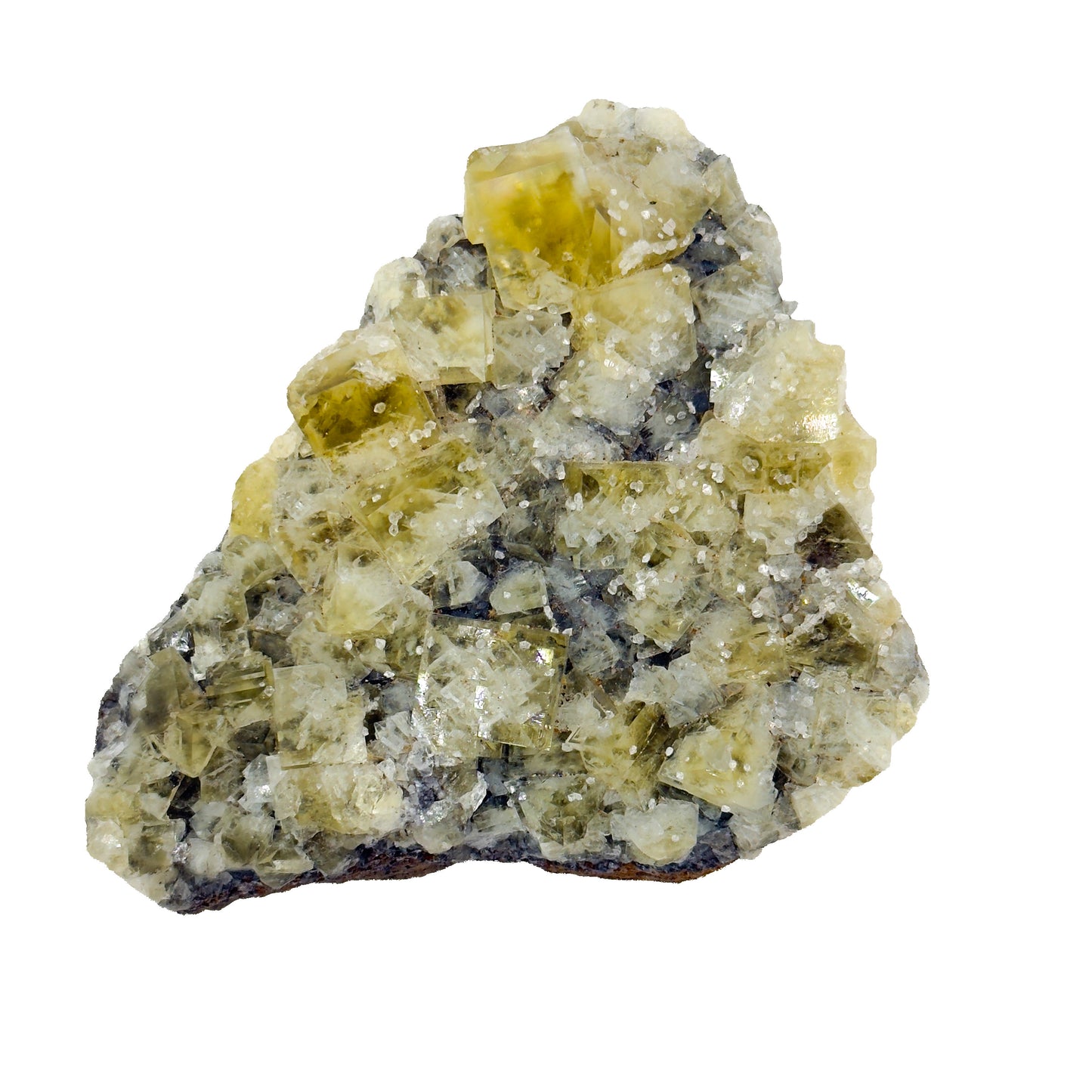 Lemon Meringue #2