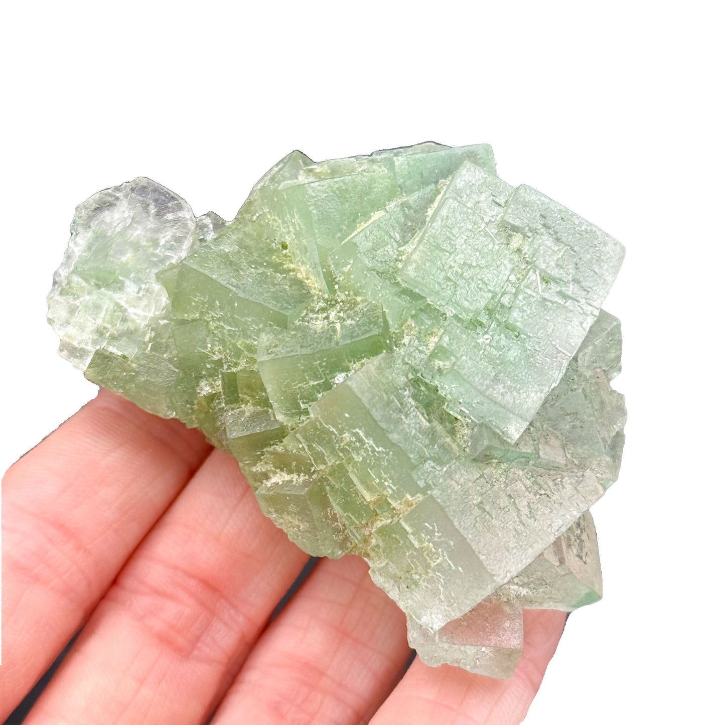 Green Halite