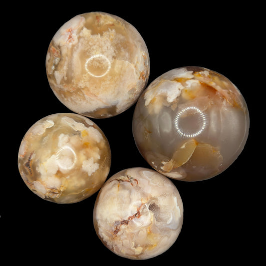 Sakura Flower Agate Spheres