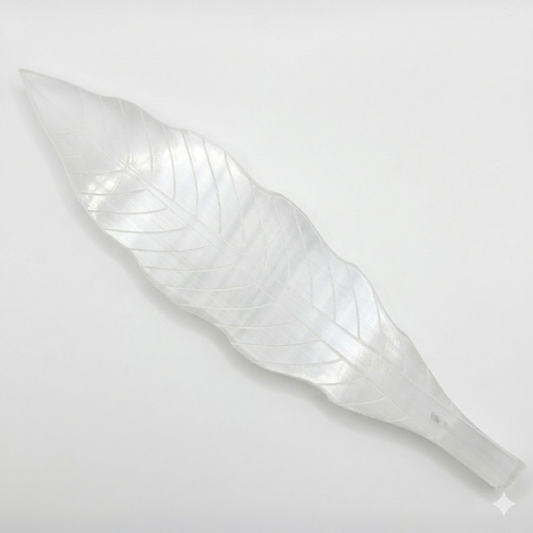 Selenite Feather Insent Holder